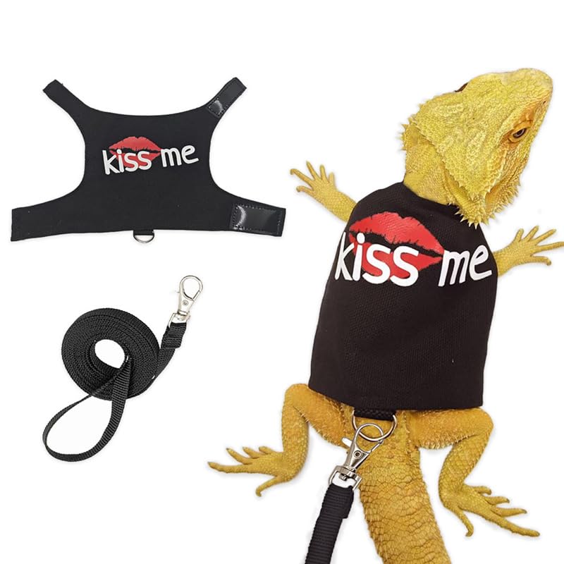 HOKABLE Bearded Dragon Leash and Harness Adjustable - Bearded Dragon Leash and Harness Set with Lizard Luminous Leash for Amphibians Chameleons Small Pet Animals Outdoor Safety Walking(Black)