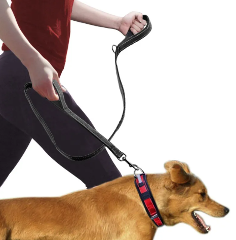 Reflective Dual-Handle Dog Leash – 6 ft