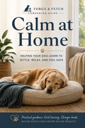 Calm at Home