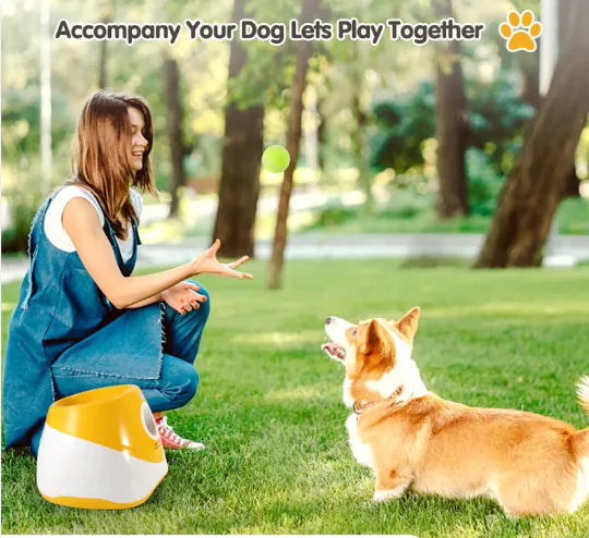 Bark'n Play Ball Machine