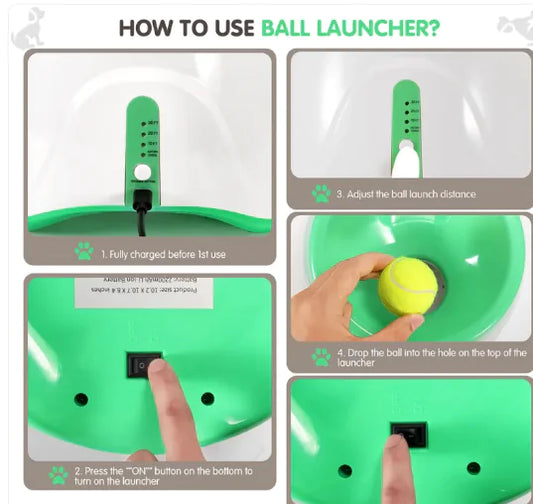 Bark'n Play Ball Machine